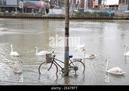 Peterborough, Großbritannien. Januar 2021. Hochwasser als der Fluss Nene in Peterborough, Cambridgeshire, seine Ufer durchbrach, bevor Sturm Christoph starke Winde und Regen bringen wird. Kredit: Paul Marriott/Alamy Live Nachrichten Stockfoto