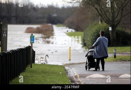 Peterborough, Großbritannien. Januar 2021. Eine Dame wird auf ihren Spuren am überfluteten Pfad neben dem Ruderkurs angehalten, als der Fluss Nene in Peterborough, Cambridgeshire, seine Ufer durchbrach, bevor Sturm Christoph starke Winde und Regen bringen wird. Kredit: Paul Marriott/Alamy Live Nachrichten Stockfoto