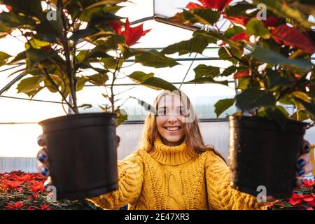 Frau im Gewächshaus in gelben Pullover halten poinsettia in Töpfen und lächeln. Stockfoto