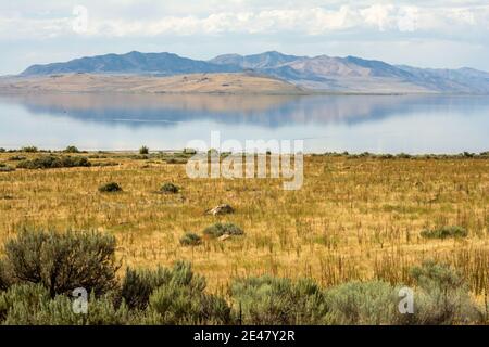 Aufnahme der Antelope Island malerische Natur in der Nähe von Salt Lake City, Utah Stockfoto
