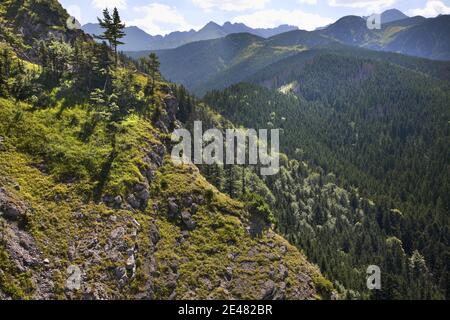 View of High Tatras mountains near Zakopane. Poland Stockfoto
