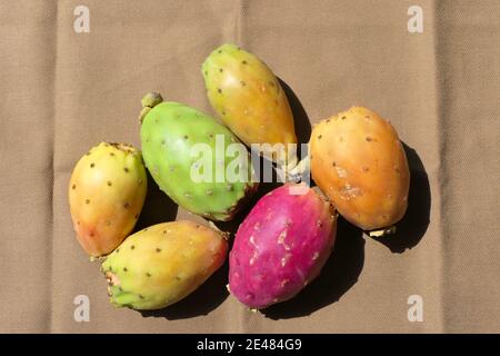 Saftige und farbenfrohe Kaktusbirnenfrüchte mit kleinen dünnen Stacheln Auf der Haut Stockfoto