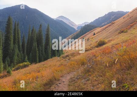 Ein Wanderweg im Kolsai Lakes National Park, am Nordhang des Tian Shan Gebirges im Südosten Kasachstans gelegen. Stockfoto