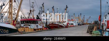 PENZANCE, CORNWALLL, Großbritannien - 09. JUNI 2009: Panoramablick auf Trawler, die am Kai am Newlyn Harbour festgemacht sind Stockfoto