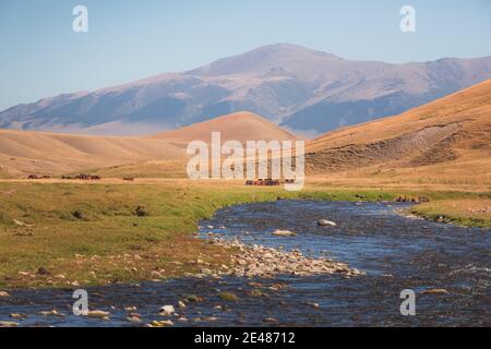 Weitläufige Landschaft des Assy Plateau, ein großes Bergtal und Sommerweide mit Pferden und Fluss, 100km von Almaty, Kasachstan. Stockfoto