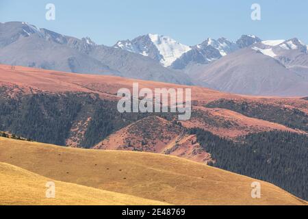 Weitläufige Landschaft des Assy Plateau, ein großes Bergtal und Sommerweide von Hirten 100km von Almaty, Kasachstan genutzt. Stockfoto