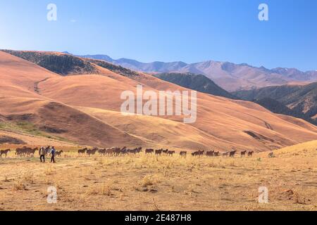 Weitläufige Landschaft des Assy Plateau, ein großes Bergtal und Sommerweide mit Hirten und Pferden 100km von Almaty, Kasachstan. Stockfoto