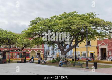 Nicht identifizierte Personen im Independence Park (plaza) in Campeche, Mexiko Stockfoto