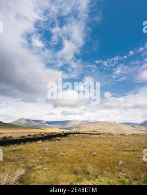 Torfstapel (Rasen) zum Heizen, Trocknen auf gesägter Moor in Bunowen, in der Nähe von Killar Harbor, Connemara, Grafschaft Galway, mit Mweelrea Mountains in der Ferne Stockfoto