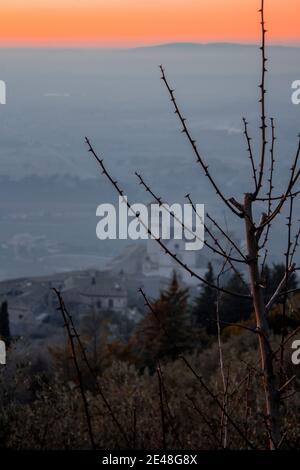 Panoramablick auf die Basilika von St. Francis von Assisi von Hügeln (Basilica Papale di San Francesco) in schönen goldenen Sonnenuntergang Stockfoto