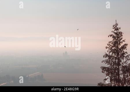Weihnachtstanne, Panoramablick Nebel italienisches Tal in Assisi - Umbrien bei Sonnenuntergang mit Bergen und Kirche oder Basilika Santa maria Stockfoto