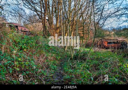 Verrostete alte Lieferwagen, die in Hurlfield bei Gleadless, Sheffield, im Wald verlassenen wurden. Stockfoto