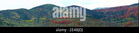 Faszinierende Panoramaaufnahme der Berge mit bunten Bäumen im Herbst Stockfoto