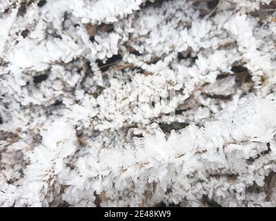Eiskristalle auf trockenem Gras. Frostige Muster in der Natur im Winter von Frost und Schnee. Hintergrund, Platz für Text. Stockfoto