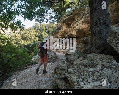 Mann Wanderer auf felsigen Wanderweg zum Cala Goloritze Strand mit Kalkstein Felsen, Bäumen und grünen Busch. Berühmtes Reiseziel. Golf von Orosei, Sardinien Stockfoto