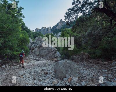 Mann Wanderer auf felsigen Wanderweg zum Cala Goloritze Strand mit Kalkstein Felsen, Bäumen und grünen Busch. Berühmtes Reiseziel. Golf von Orosei, Sardinien Stockfoto