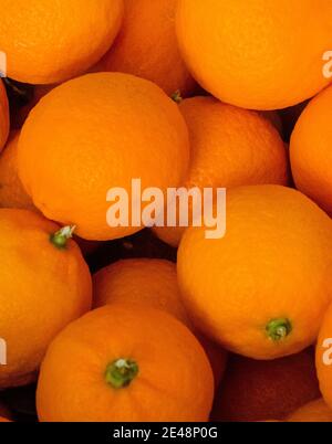 Frische Mandarinen oder Mandarinen Früchte als vertikaler Hintergrund Stockfoto