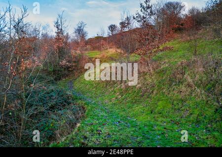 Alter verlassene Sandsteinbruch in Hurlfield bei Gleadless, Sheffield. Stockfoto