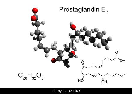 Chemische Formel, Skelettformel und 3D-Ball-and-Stick-Modell von Prostaglandin E2 (Dinoprostone), weißer Hintergrund Stockfoto