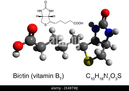 Chemische Formel, Skelettformel und 3D-Ball-and-Stick-Modell von Vitamin B7 (Biotin), weißer Hintergrund Stockfoto