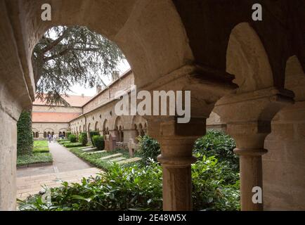 Klosterhof, Petersdom, Osnabrück Stockfoto