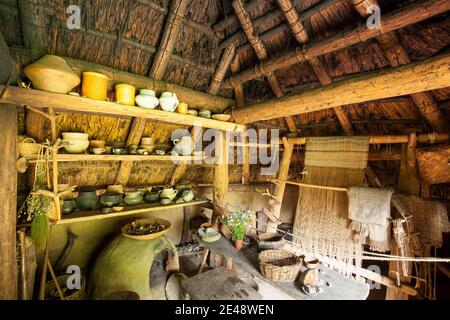 Bronzezeithof, Uelsen, Grafschaft Bentheim Stockfoto