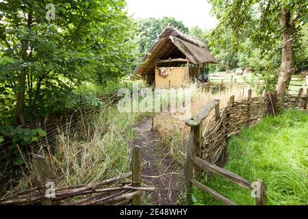Bronzezeithof, Uelsen, Grafschaft Bentheim Stockfoto