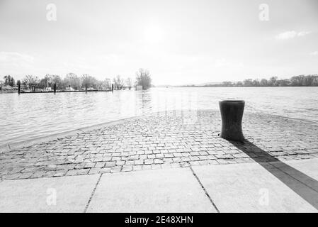 Maulwurf am Hafen von frei-Weinheim, (Ingelheim-Nord), Ingelheimer Sommergarten am Rheinufer, Poller, highkey Version, Stockfoto