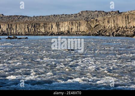 Fluss Jökulsá á Fjöllum in der Nähe des Dettifoss, Wasserfall auf Insel, Wasserfall des Gletscherfluß, Gletscherfluss, Jökulsárgljúfur-Nationalpark, Stockfoto