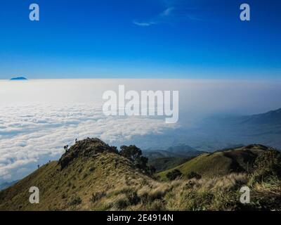 Morgenansicht des Mount Merapi von der Spitze des Mount Merbabu in Zentral-Java, Indonesien. Stockfoto