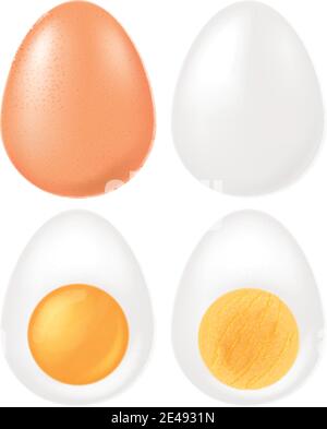 Set gekochte Eier. Vektorgrafik. Stock Vektor