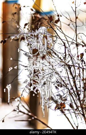 Eisige Äste mit Eiszapfen bei Sonnenuntergang. Winterfrost. Stockfoto