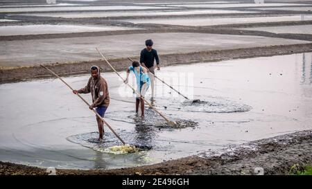 MUMBAI, INDIEN - 17. Dezember 2020 : Unidentifizierte Arbeiter in der Salzfarm und Scheune im Meer Stockfoto