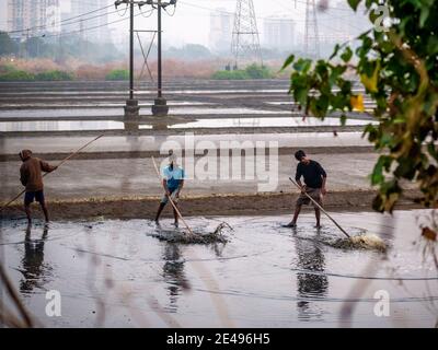 MUMBAI, INDIEN - 17. Dezember 2020 : Unidentifizierte Arbeiter in der Salzfarm und Scheune im Meer Stockfoto