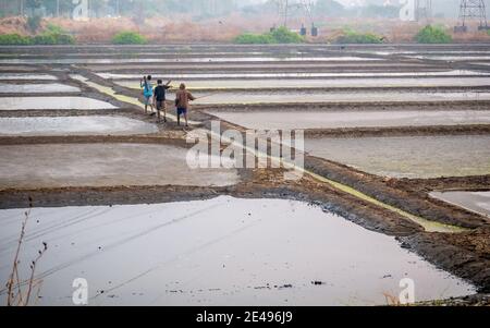 MUMBAI, INDIEN - 17. Dezember 2020 : Unidentifizierte Arbeiter in der Salzfarm und Scheune im Meer Stockfoto