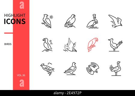 Bird Species - moderne Linie Design Stil Symbole gesetzt. Schwarzweißbilder. Martial, Glatze und Steinadler, schwarz gekrönten Kran, Möwe, Papageientaucher, Ara, gre Stock Vektor