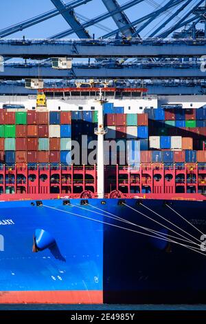 Felixstowe, Großbritannien. 22. Januar 2021. Containerschiff die COSCO Shipping Galaxy wird in Felixstowe Port, Suffolk verladen. Der Containerverkehr hat seit dem Brexit erhebliche Störungen erlebt, da die Häfen überlastet sind und der Papierkram zu Verzögerungen und steigenden Kosten für Importe und Exporte führt. Bilddatum: Freitag, 22. Januar 2021. Bildnachweis sollte lauten: Matt Crossick/Empics/Alamy Live News Stockfoto