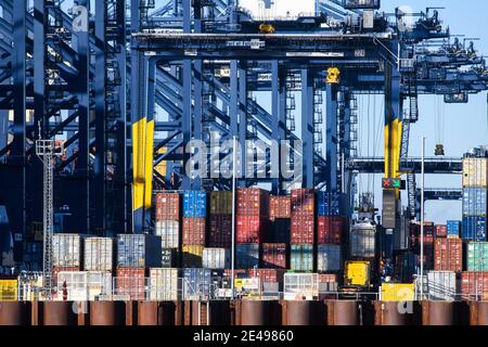 Felixstowe, Großbritannien. 22. Januar 2021. Containerschiff die COSCO Shipping Galaxy wird in Felixstowe Port, Suffolk verladen. Der Containerverkehr hat seit dem Brexit erhebliche Störungen erlebt, da die Häfen überlastet sind und der Papierkram zu Verzögerungen und steigenden Kosten für Importe und Exporte führt. Bilddatum: Freitag, 22. Januar 2021. Bildnachweis sollte lauten: Matt Crossick/Empics/Alamy Live News Stockfoto