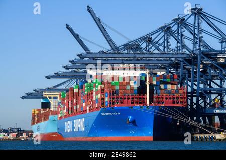 Felixstowe, Großbritannien. 22. Januar 2021. Containerschiff die COSCO Shipping Galaxy wird in Felixstowe Port, Suffolk verladen. Der Containerverkehr hat seit dem Brexit erhebliche Störungen erlebt, da die Häfen überlastet sind und der Papierkram zu Verzögerungen und steigenden Kosten für Importe und Exporte führt. Bilddatum: Freitag, 22. Januar 2021. Bildnachweis sollte lauten: Matt Crossick/Empics/Alamy Live News Stockfoto