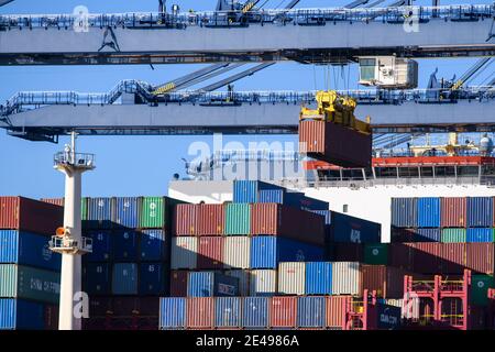 Felixstowe, Großbritannien. 22. Januar 2021. Containerschiff die COSCO Shipping Galaxy wird in Felixstowe Port, Suffolk verladen. Der Containerverkehr hat seit dem Brexit erhebliche Störungen erlebt, da die Häfen überlastet sind und der Papierkram zu Verzögerungen und steigenden Kosten für Importe und Exporte führt. Bilddatum: Freitag, 22. Januar 2021. Bildnachweis sollte lauten: Matt Crossick/Empics/Alamy Live News Stockfoto