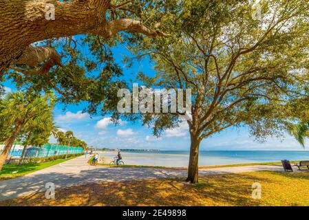 Menschen im Vinoy Park in Sankt Petersburg. Florida, USA Stockfoto