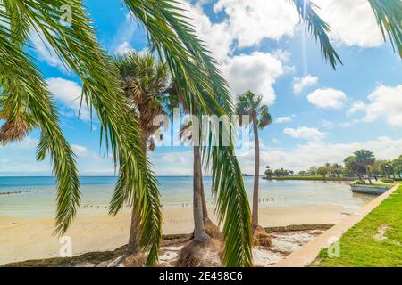 Wolkiger Himmel über dem Vinoy Park in Sankt Petersburg. Florida, USA Stockfoto