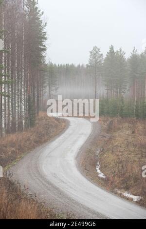 Unbefestigte Straße schlängelt sich durch neblige Herbstlandschaft. Stockfoto