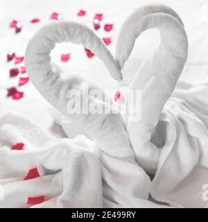 Handtuchschwäne auf dem Bett, mit roten Blütenblättern bestreut. Ideal für Veranstaltungen und Konzepte. Flitterwochen, Verlobung, Valentinstag. Liebe. Stockfoto