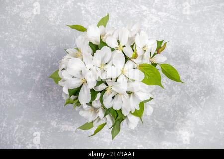 Bouquet von blühenden weißen Apfelbaumbauen auf strukturiertem hellgrauen Hintergrund. Festlich Muttertag, Valentinstag, Geburtstag herzlichen Glückwunsch floral con Stockfoto