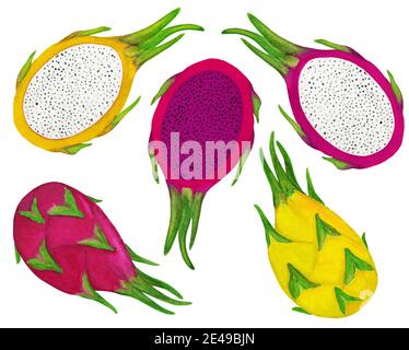 Aquarell pitaya-Set isoliert auf weißem Hintergrund Stockfoto