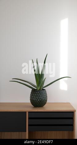 Aloe Vera in grünen modernen Topf auf dänischem Design platziert Anrichte aus Holz in natürlichem Licht gegen weiße Wand Stockfoto