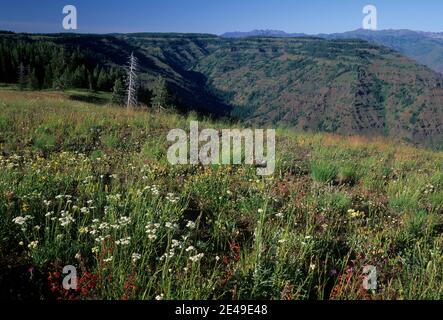 Hells Canyon mit Blick auf den Blick, Hells Canyon National Recreation Area, Oregon Stockfoto