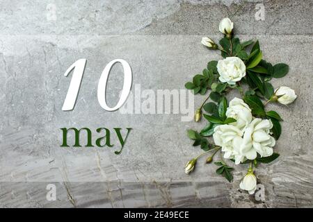 Mai. Tag 10 des Monats, Kalenderdatum. Stilvolle Rosen flach legen. Weiße Rosen umrandet auf pastellgrauem Hintergrund mit Kalenderdatum. Frühling Monat, Tag o Stockfoto