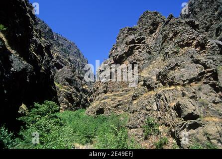 Hells Canyon Creek Canyon, Snake Wild & Scenic River, Hells Canyon National Recreation Area, Oregon Stockfoto